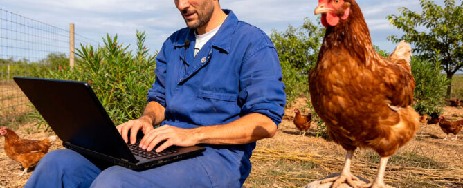 Bienvenido a Huevos Ecológicos Gazol