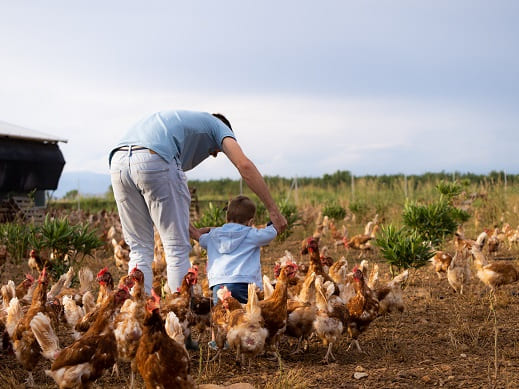 Desarrollo Rural Gazol Desarrollo Rural Gazol