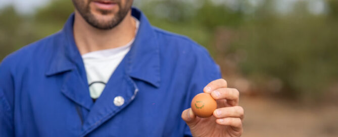 Huevo de Pollita: Superalimento Desconocido