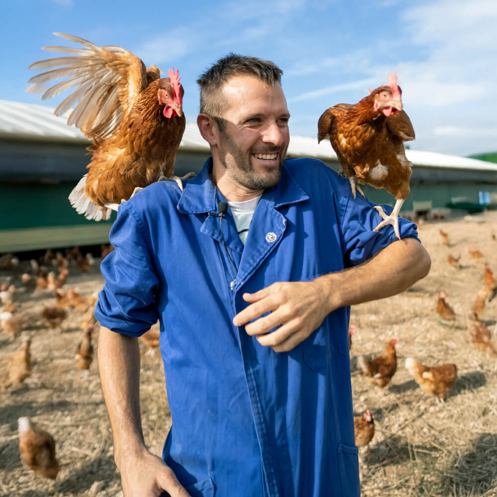 Huevos Ecológicos Gazol
