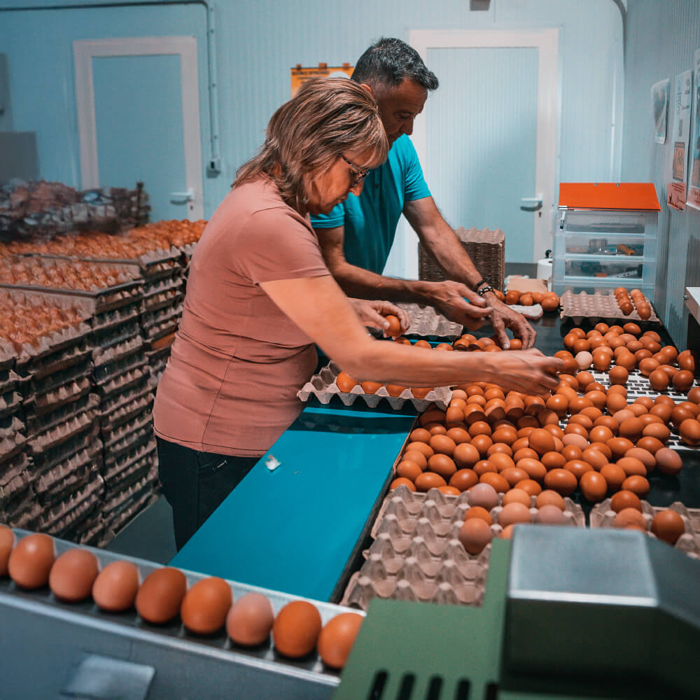 Huevos Ecológicos Gazol