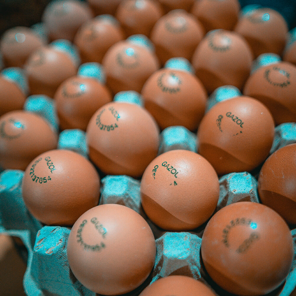 Huevos Ecológicos Gazol