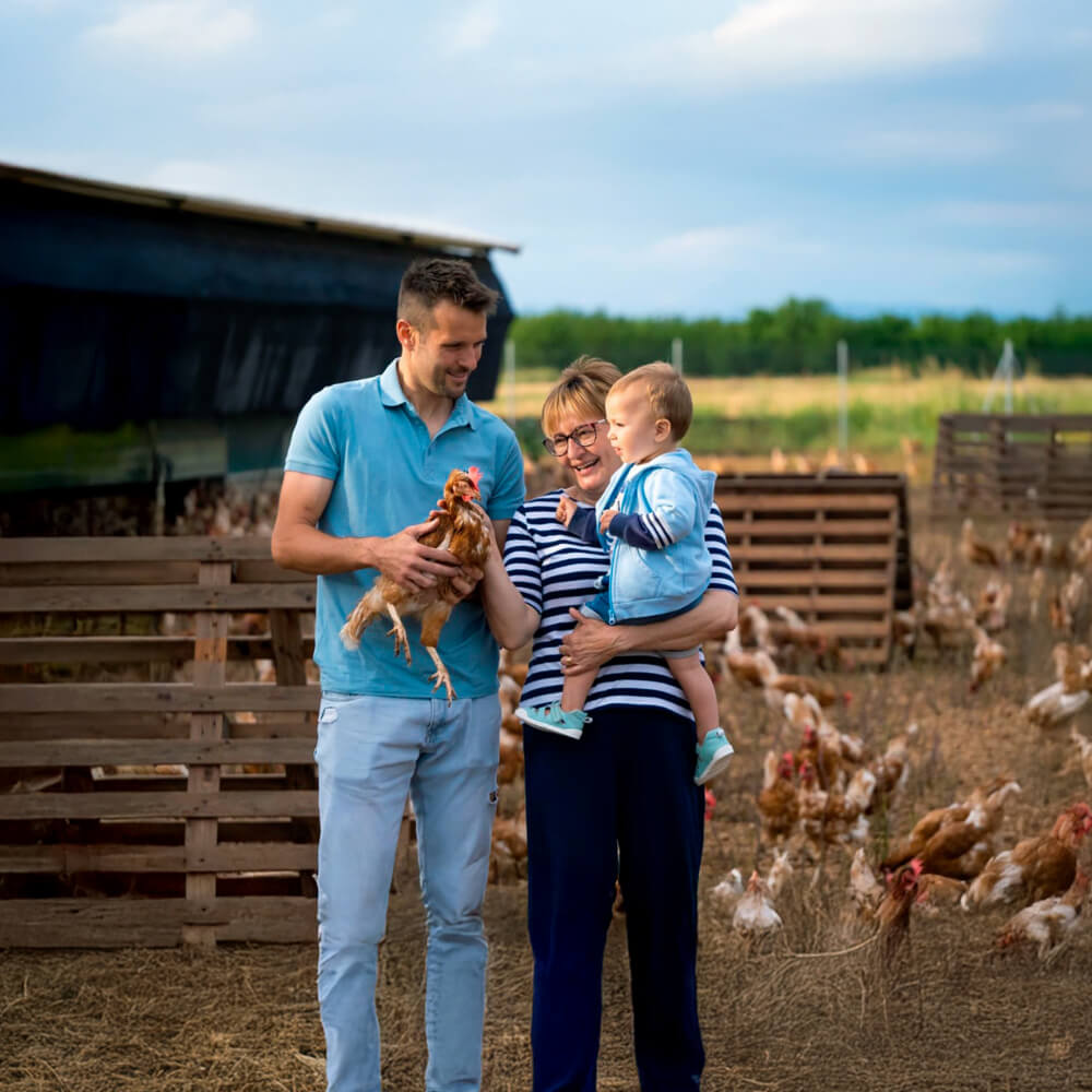 Huevos Ecológicos Gazol