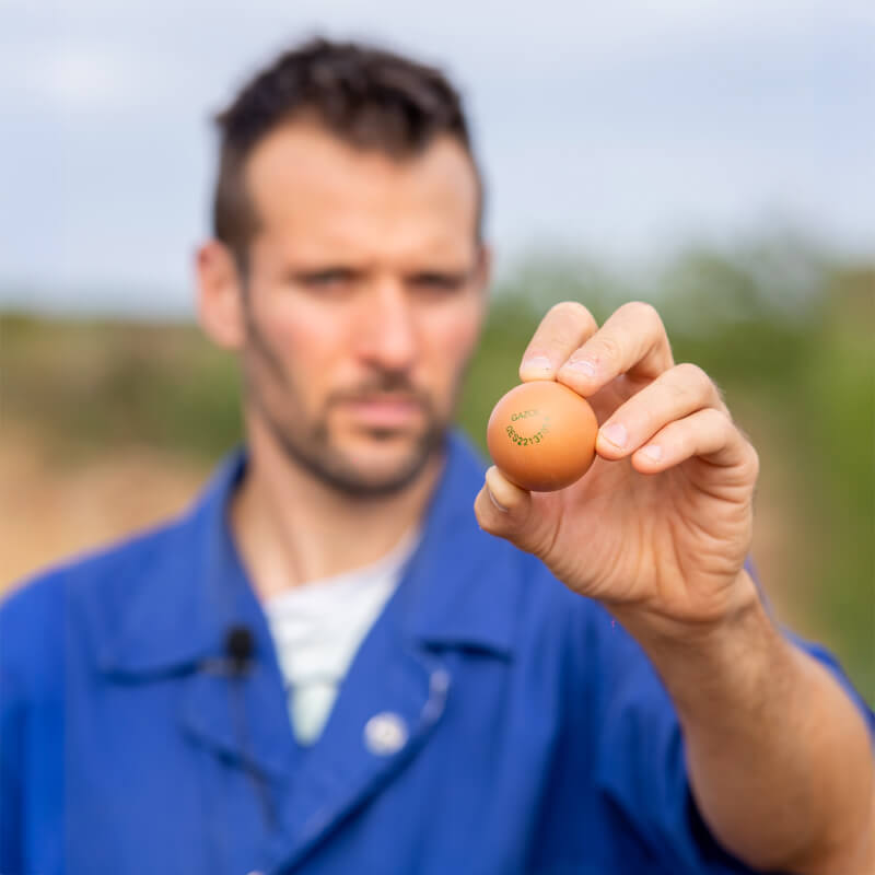 Huevos Ecológicos Gazol Huevos Ecológicos Gazol