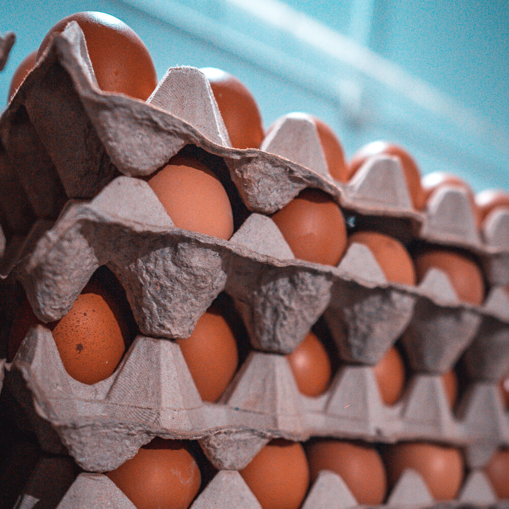 Huevos Talla M/L Gazol