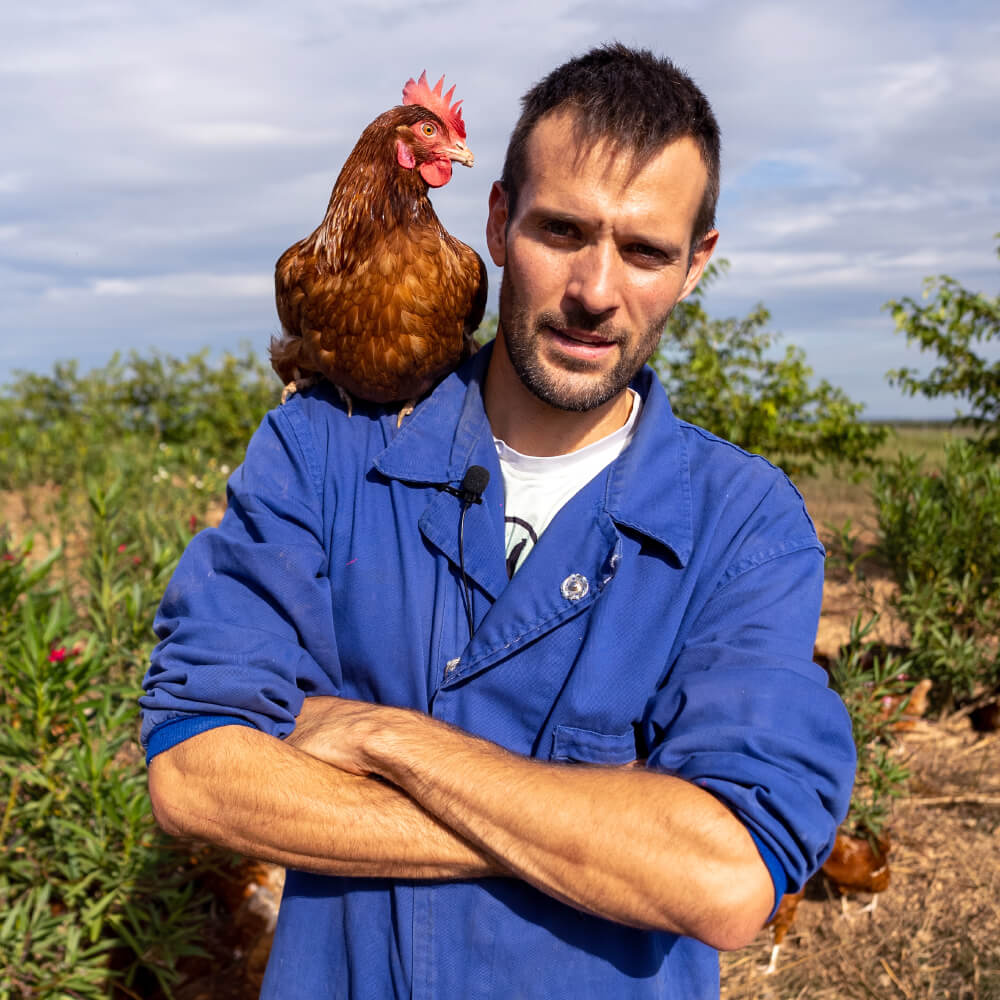 Huevos Talla M/L Gazol