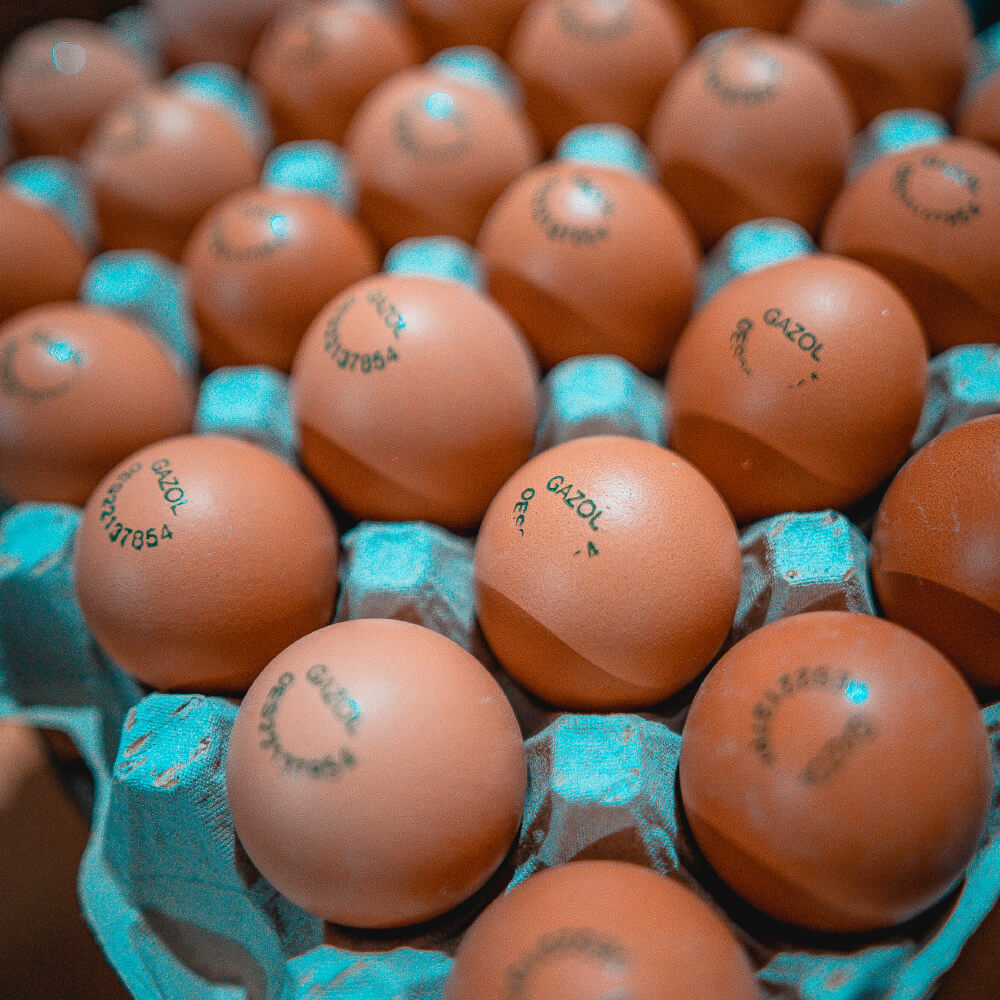 Huevos de Pollita Gazol