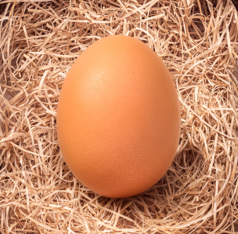 Huevos Gazol Pollita