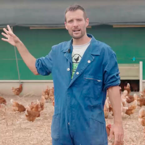 Requisitos de los Huevos Ecológicos Requisitos de los Huevos Ecológicos