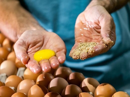 Sostenibilidad Sostenibilidad