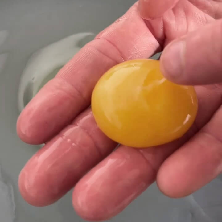 Yema de Huevos Ecológicos Gazol Yema de Huevos Ecológicos Gazol